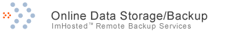 Online Data Storage Hosting